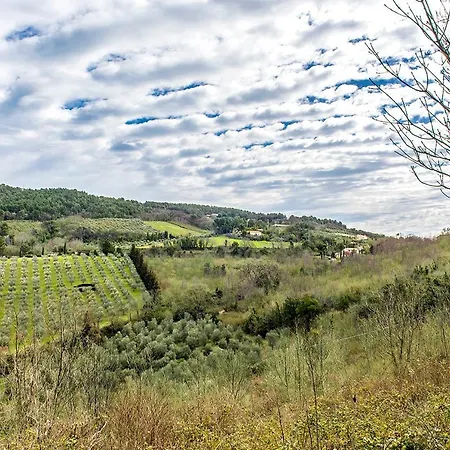 公寓 A19 - Massignano, Luminosa Dependance Immersa Nel Verde Massignano