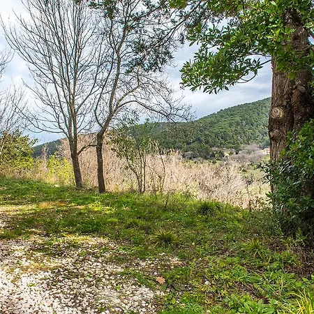 A19 - Massignano, Luminosa Dependance Immersa Nel Verde Apartamento Massignano